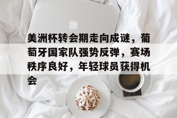 包含美洲杯转会期走向成谜，葡萄牙国家队强势反弹，赛场秩序良好，年轻球员获得机会的词条-九游娱乐平台